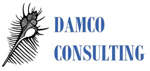 DAMCO Consulting